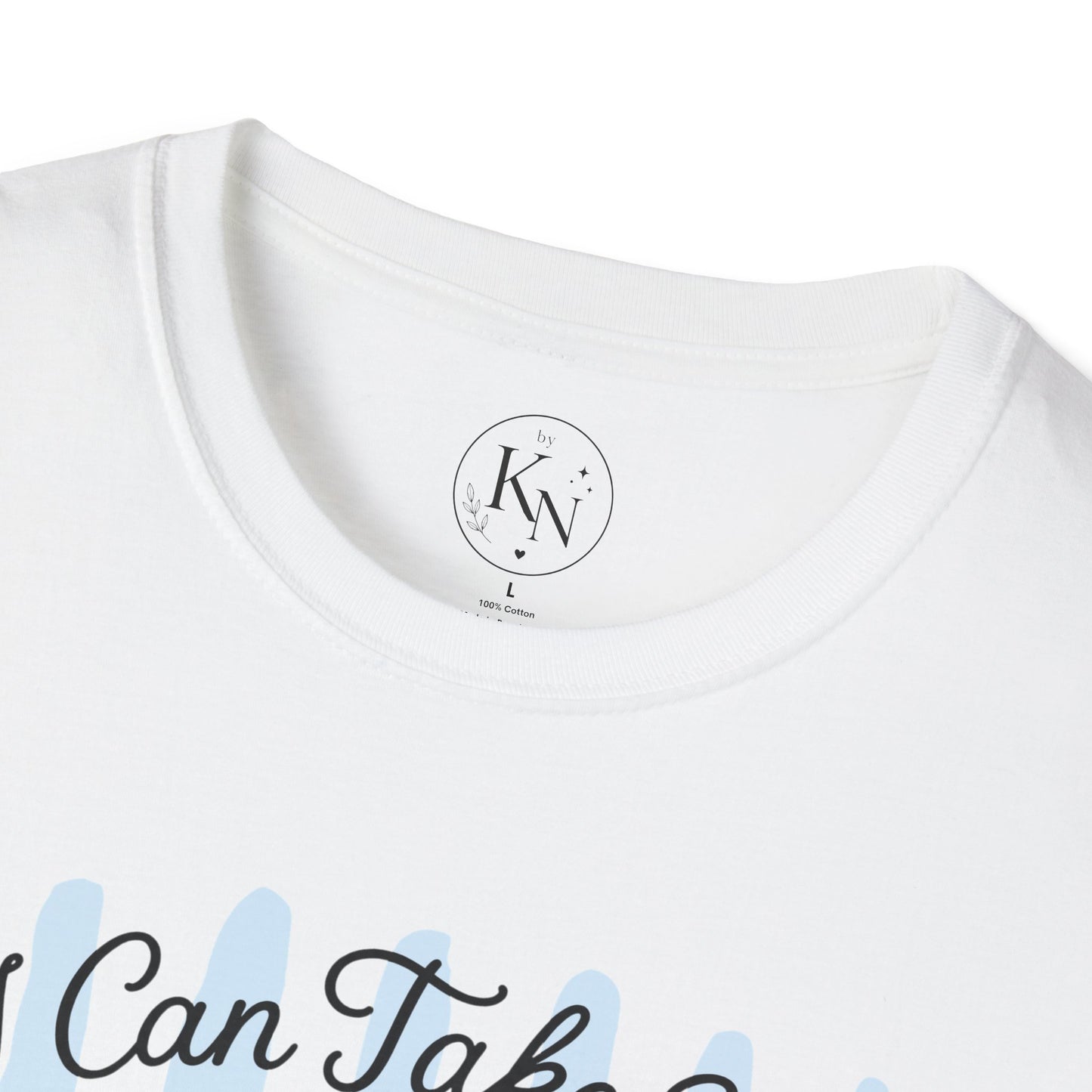 I Can Take You To The Trash Raccoon T-Shirt