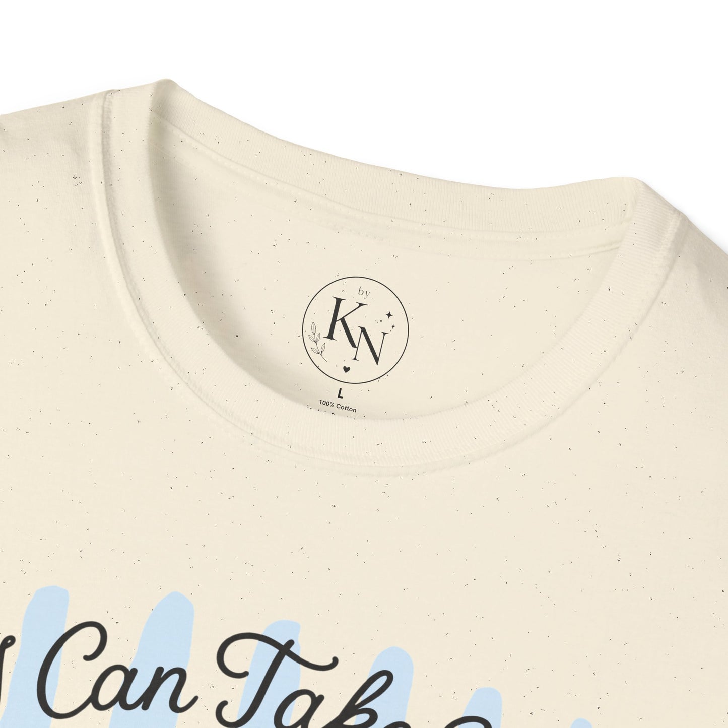 I Can Take You To The Trash Raccoon T-Shirt
