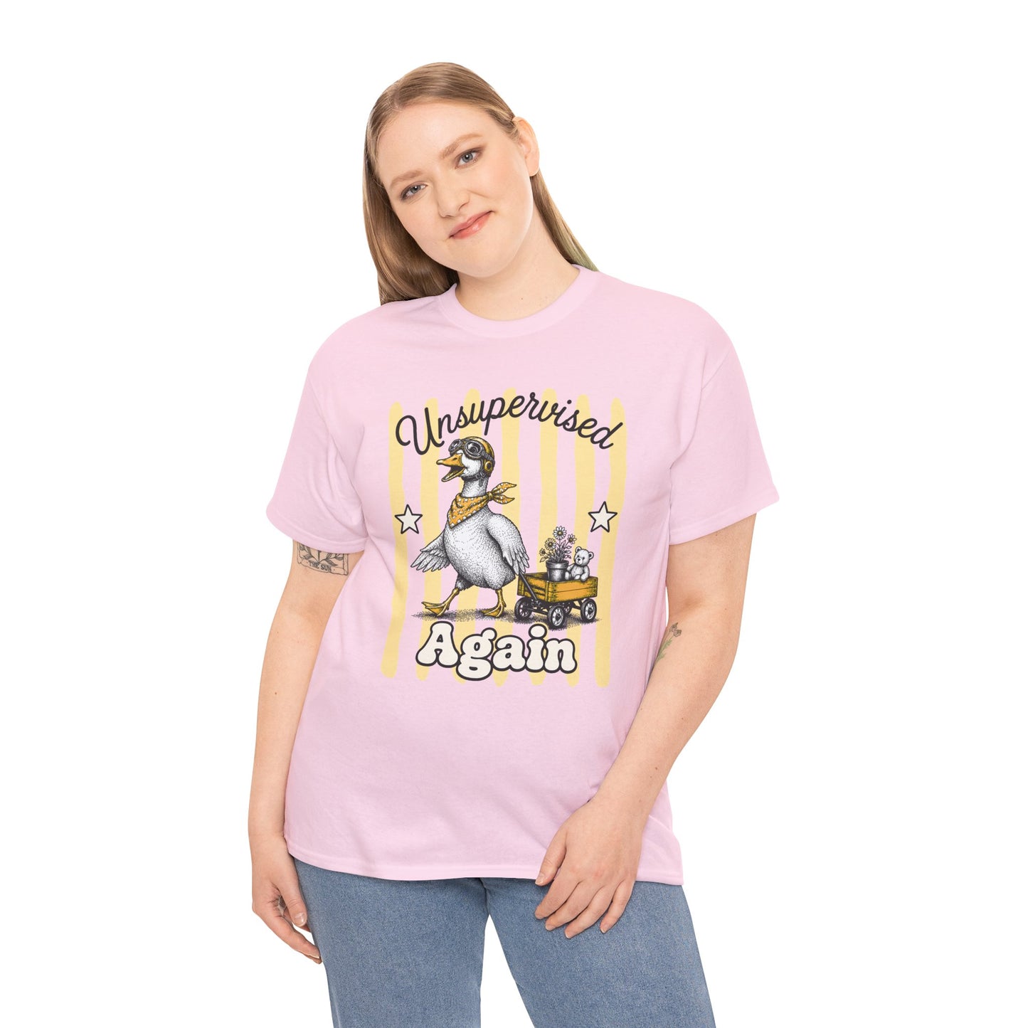 Unsupervised Again Retro Goose Graphic Tee